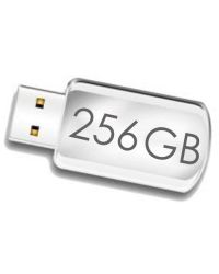 Флэш накопители 256 GB